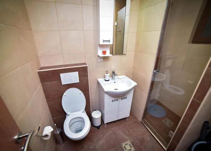 Vidikon Apartament *